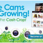 Flirt4Free Plans Updates to White Label Affiliates Program