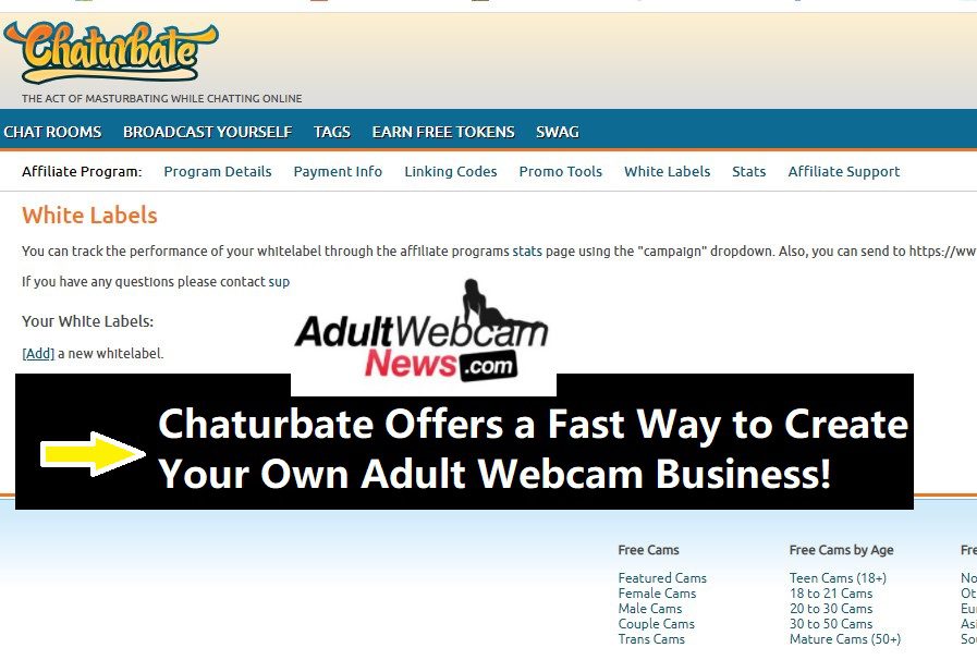 start porn business start porn business