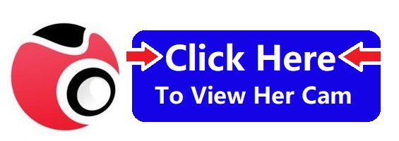 view cam button