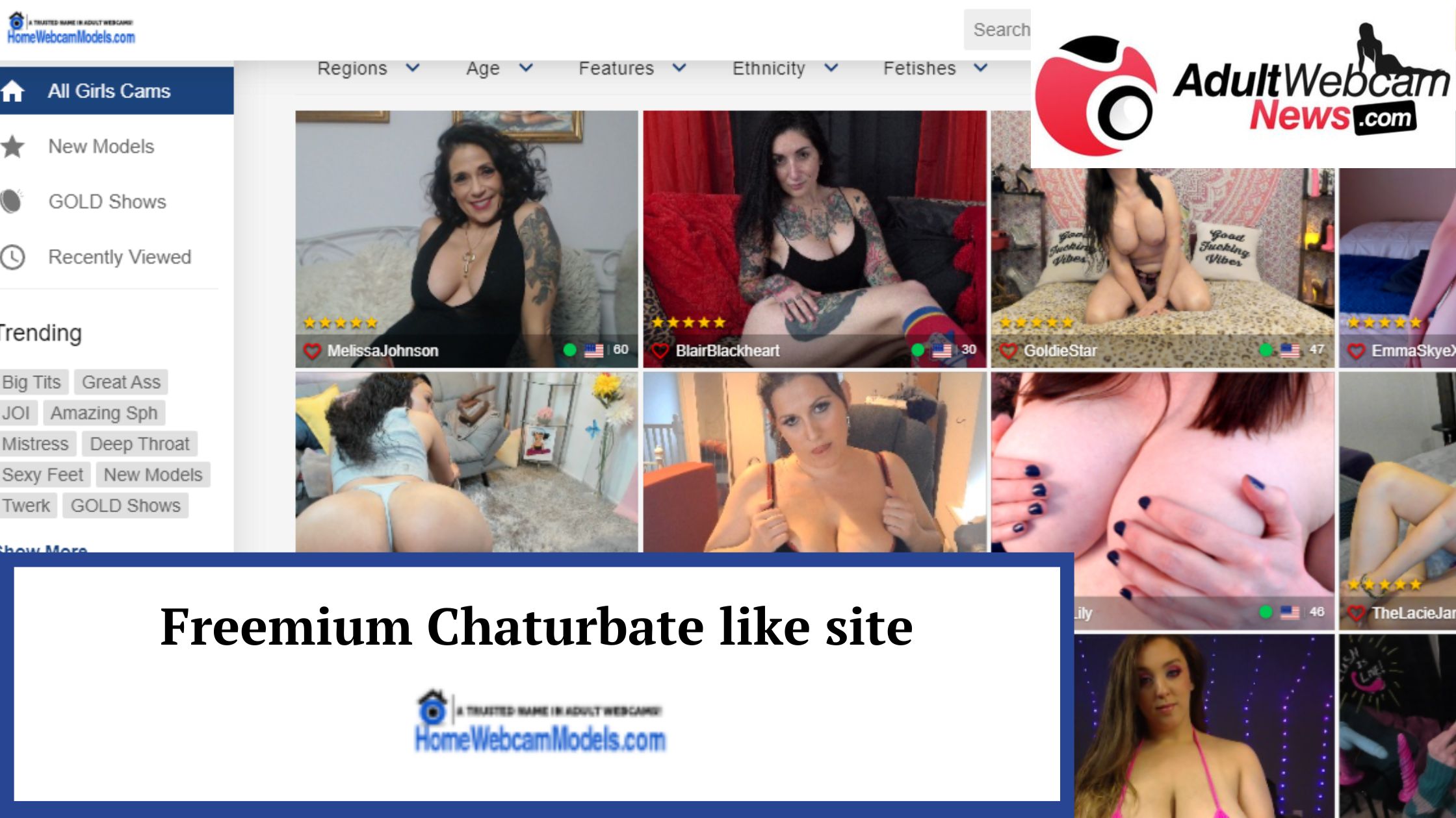 chaturbate like site